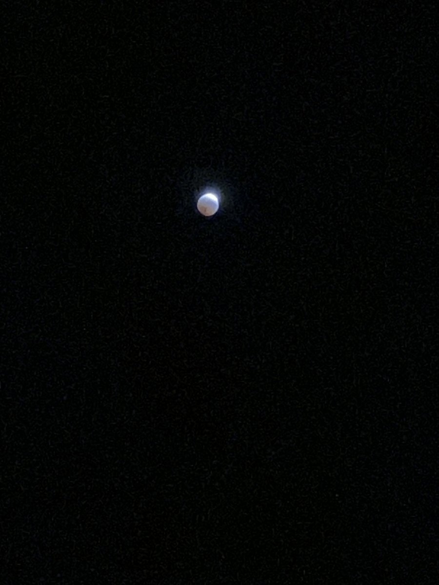 IMG_9848.jpeg