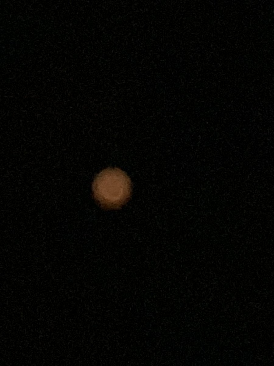 IMG_9850.jpeg