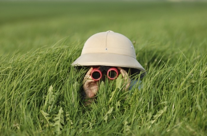 istock_000001571632large-700x461.jpg