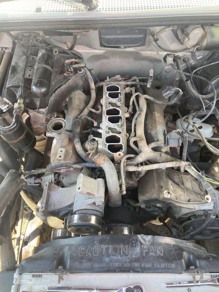 Junk Yard.jpg