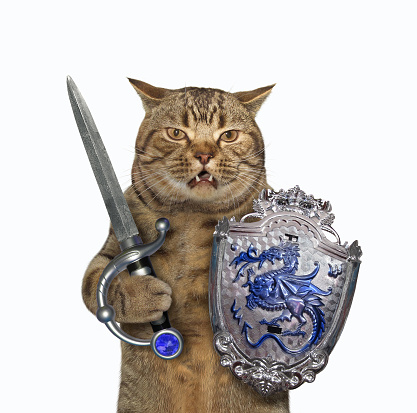 katze-hält-schild-und-schwert-2.jpg