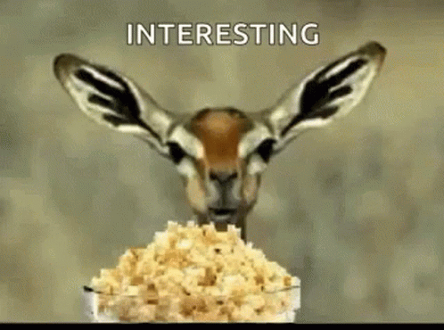 kenga.gif