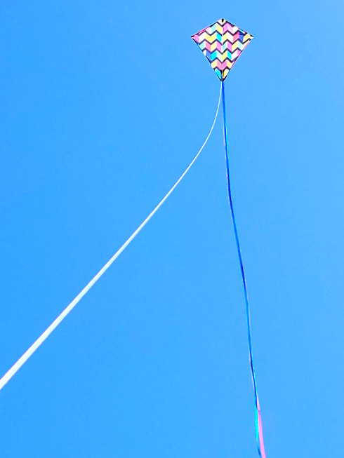 Kite.jpg