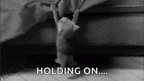 kitty-kitten.gif
