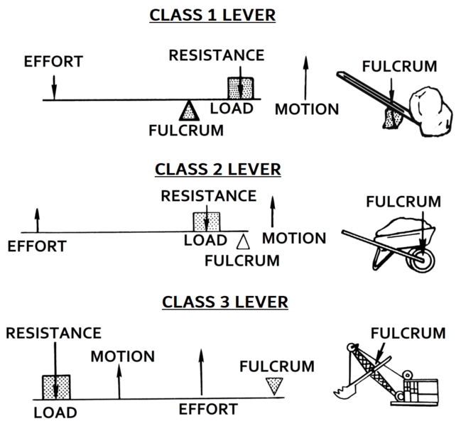 Lever_(PSF).png