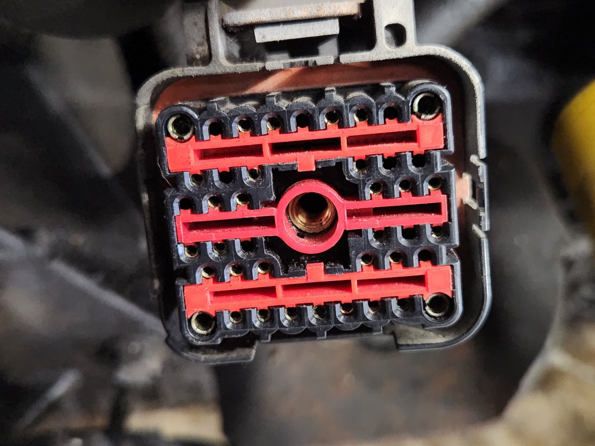 main_engine_harness.jpg