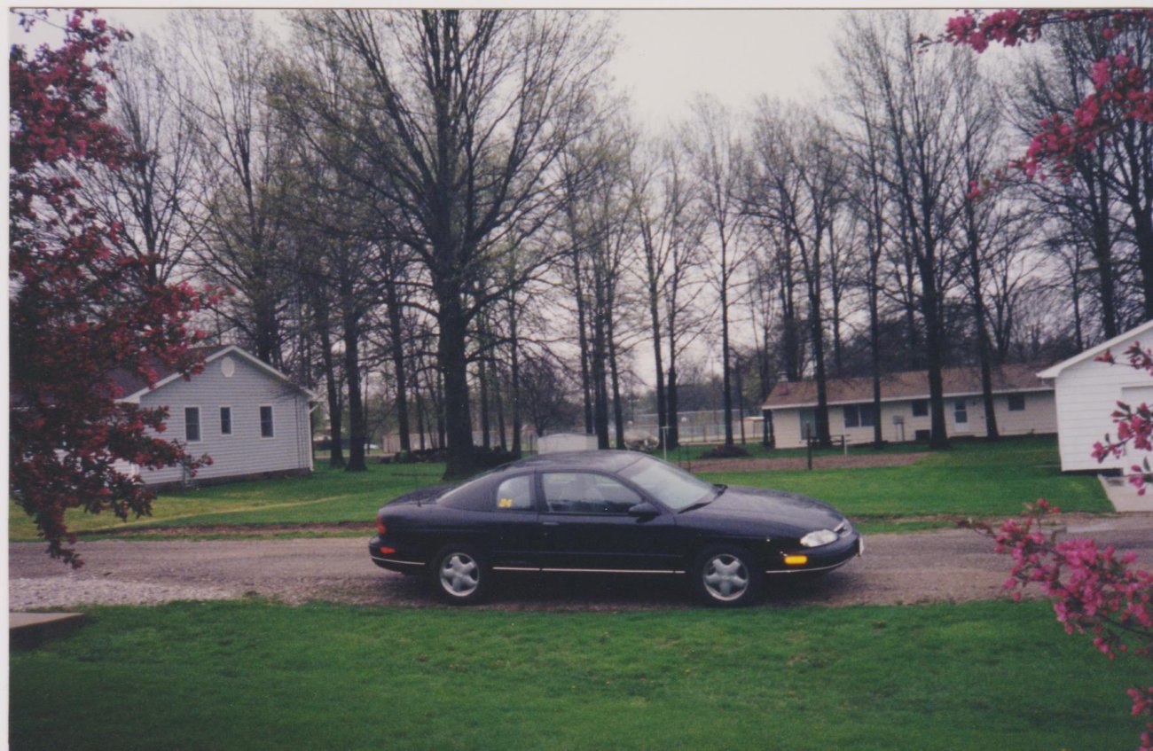 Miscellaneous Pictures 041.jpg