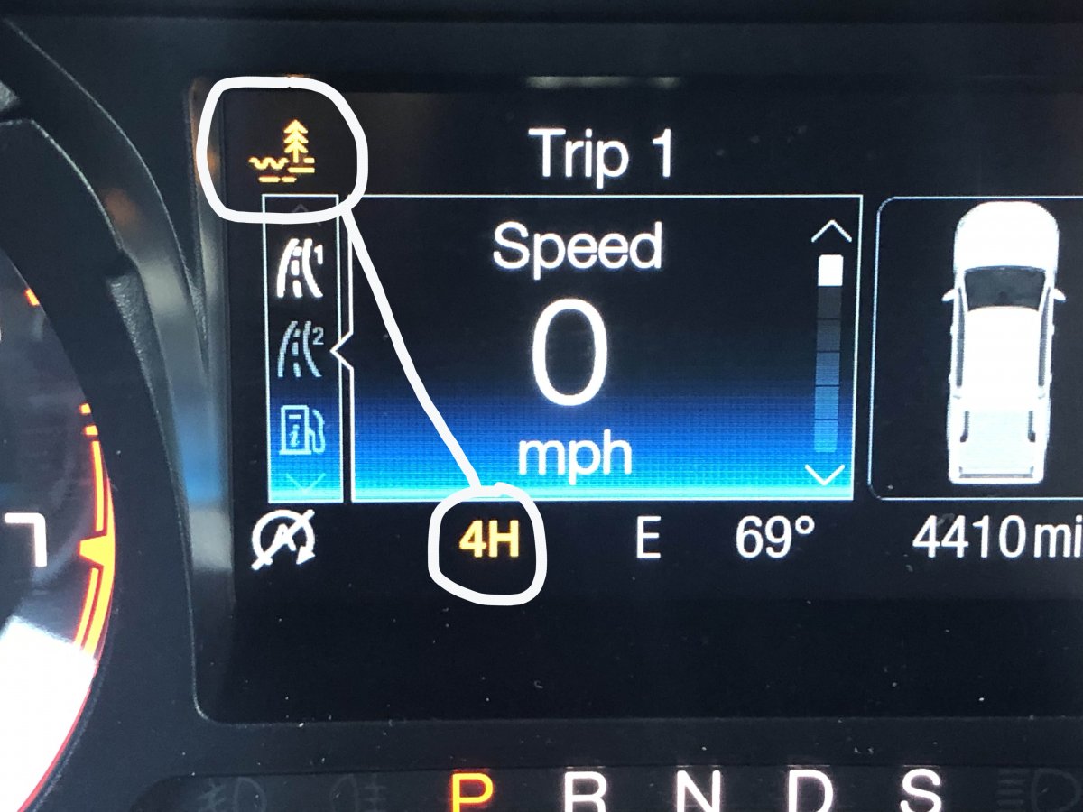 69118