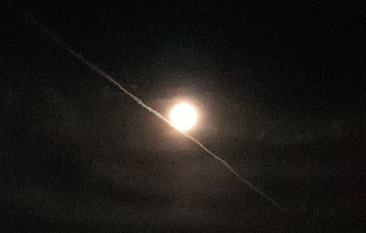 moon shot.png