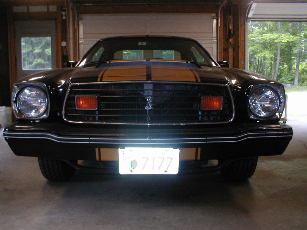 mustang.JPG