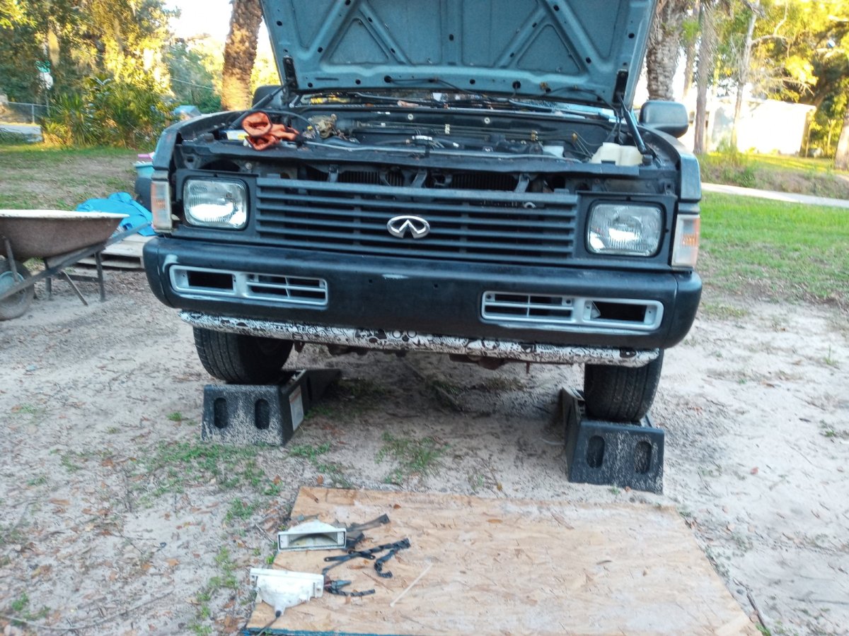 new Bumper.jpg