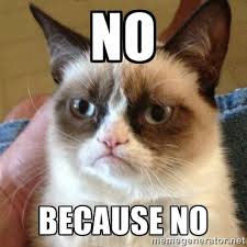 no  because no  download (6).jpg