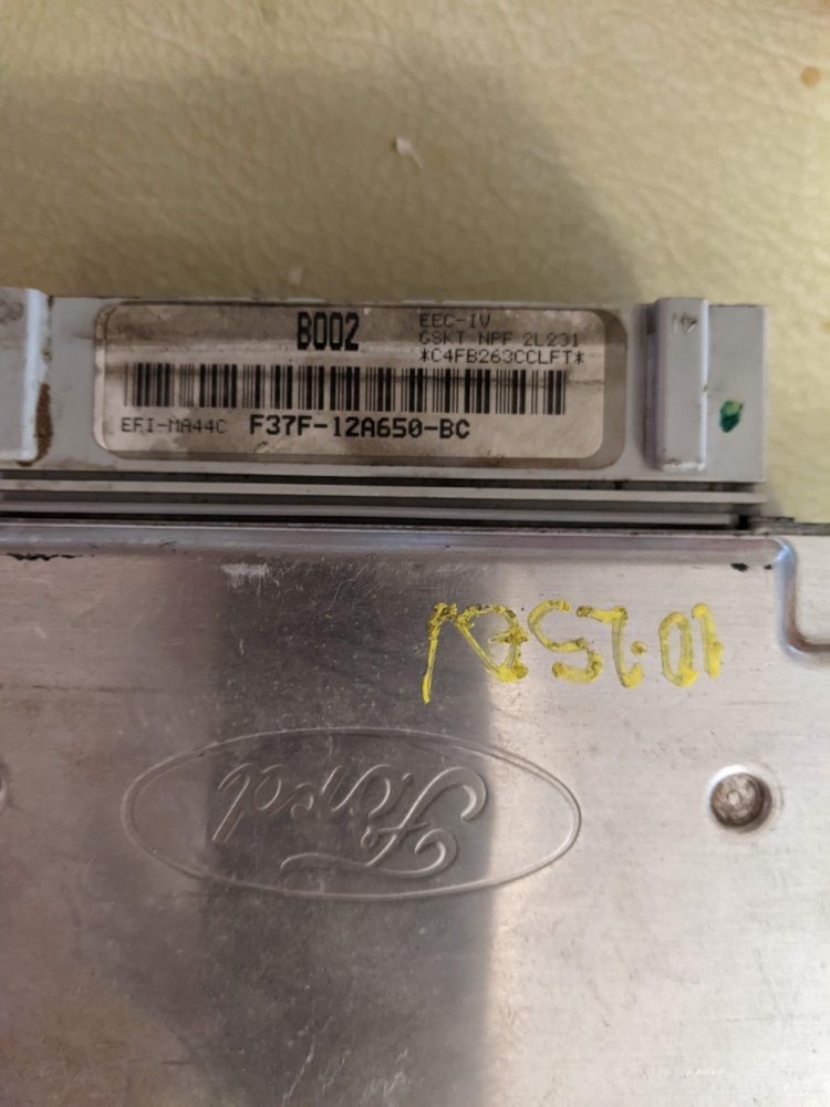 75019