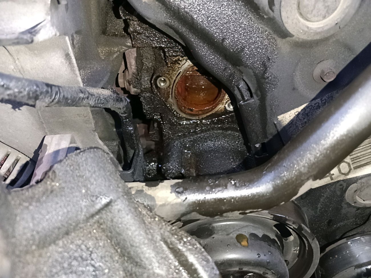 oil leak.jpg
