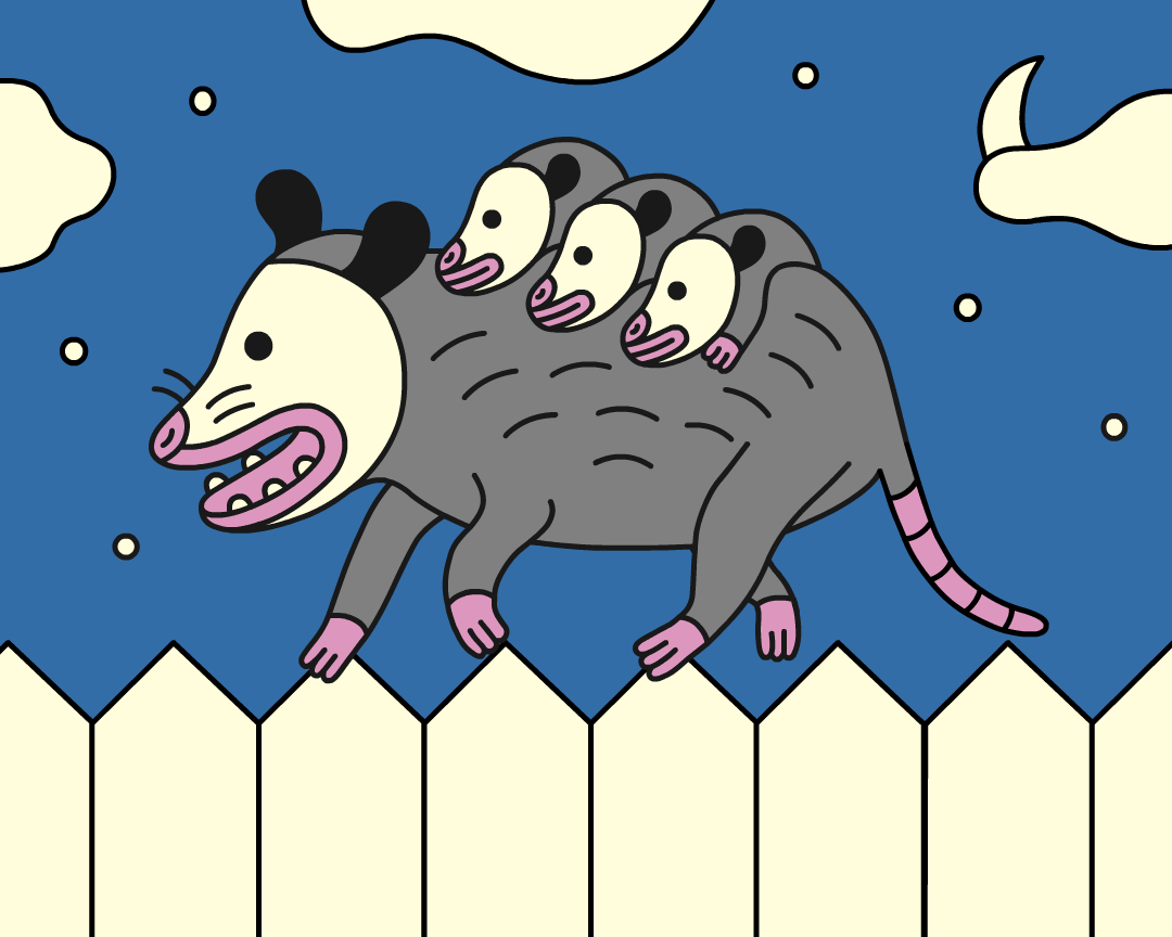 opossum.gif