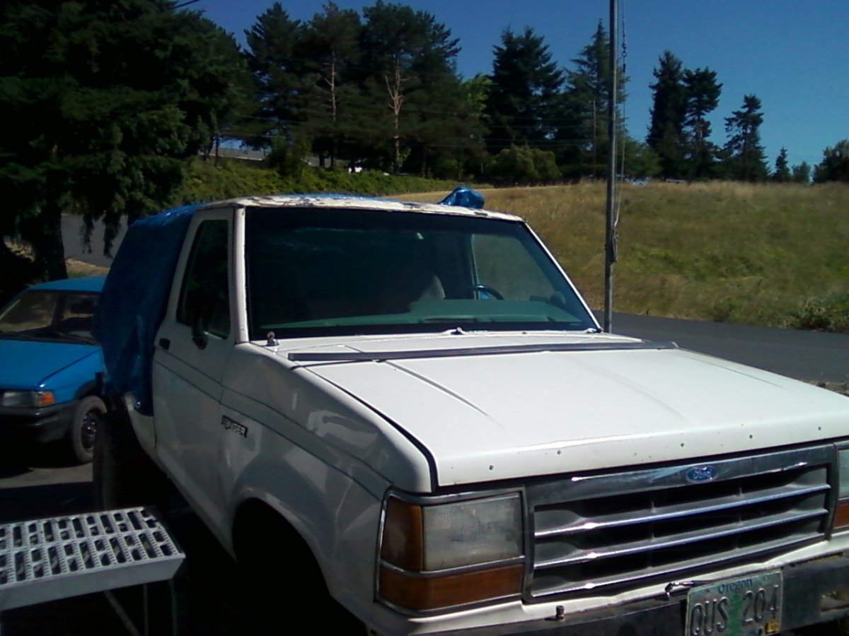 phone pics 016.jpg