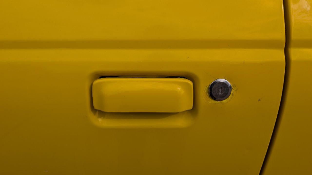 Any sources on factory painted door handles.