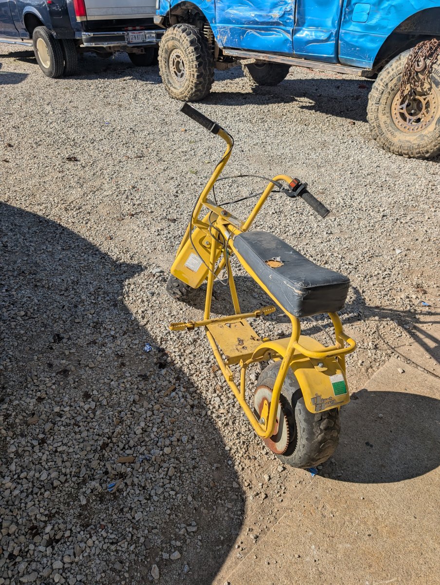 PXL_20251010_144651547.jpg