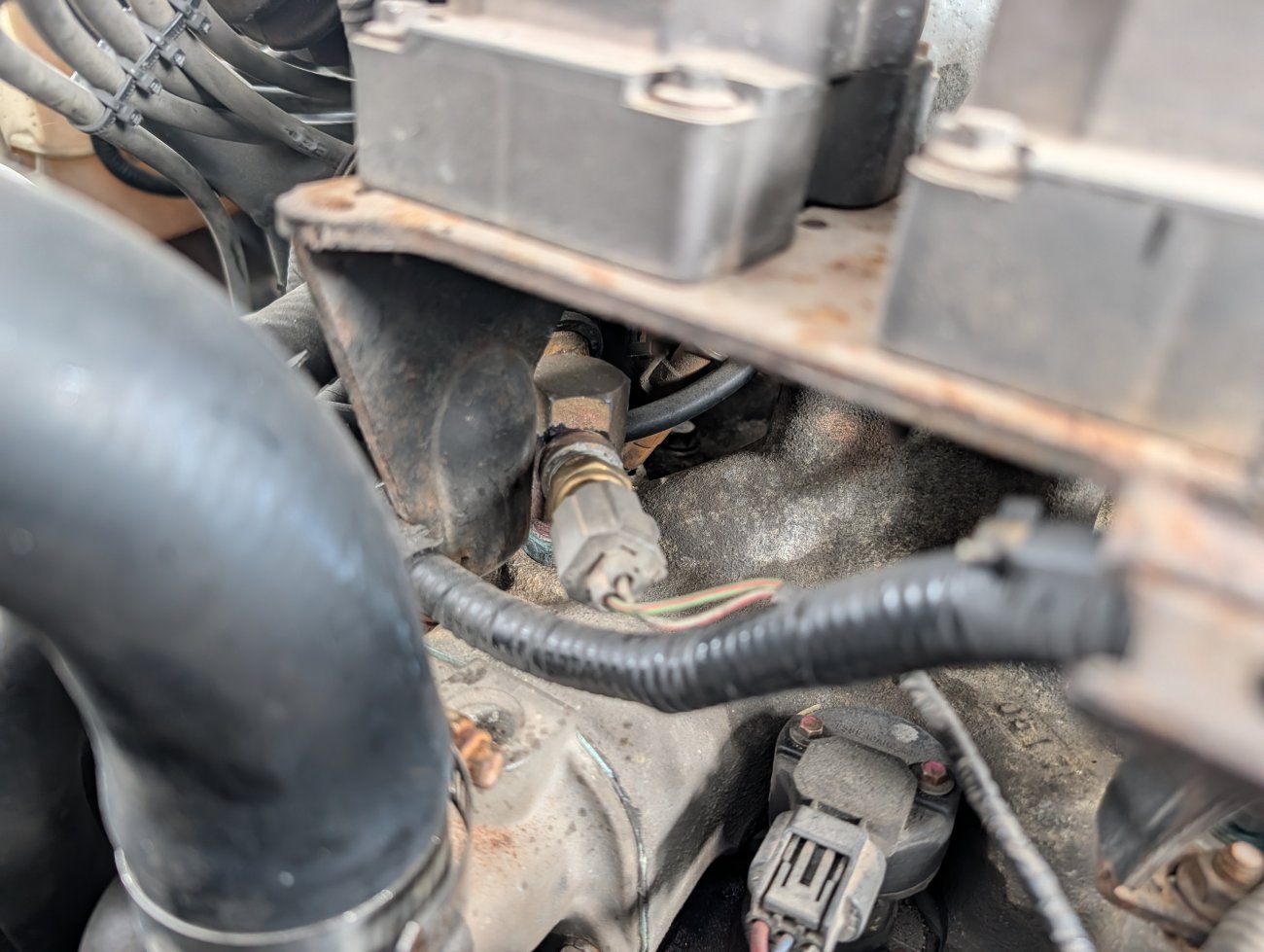 PlumCrazy's V8 Daily Driver Build