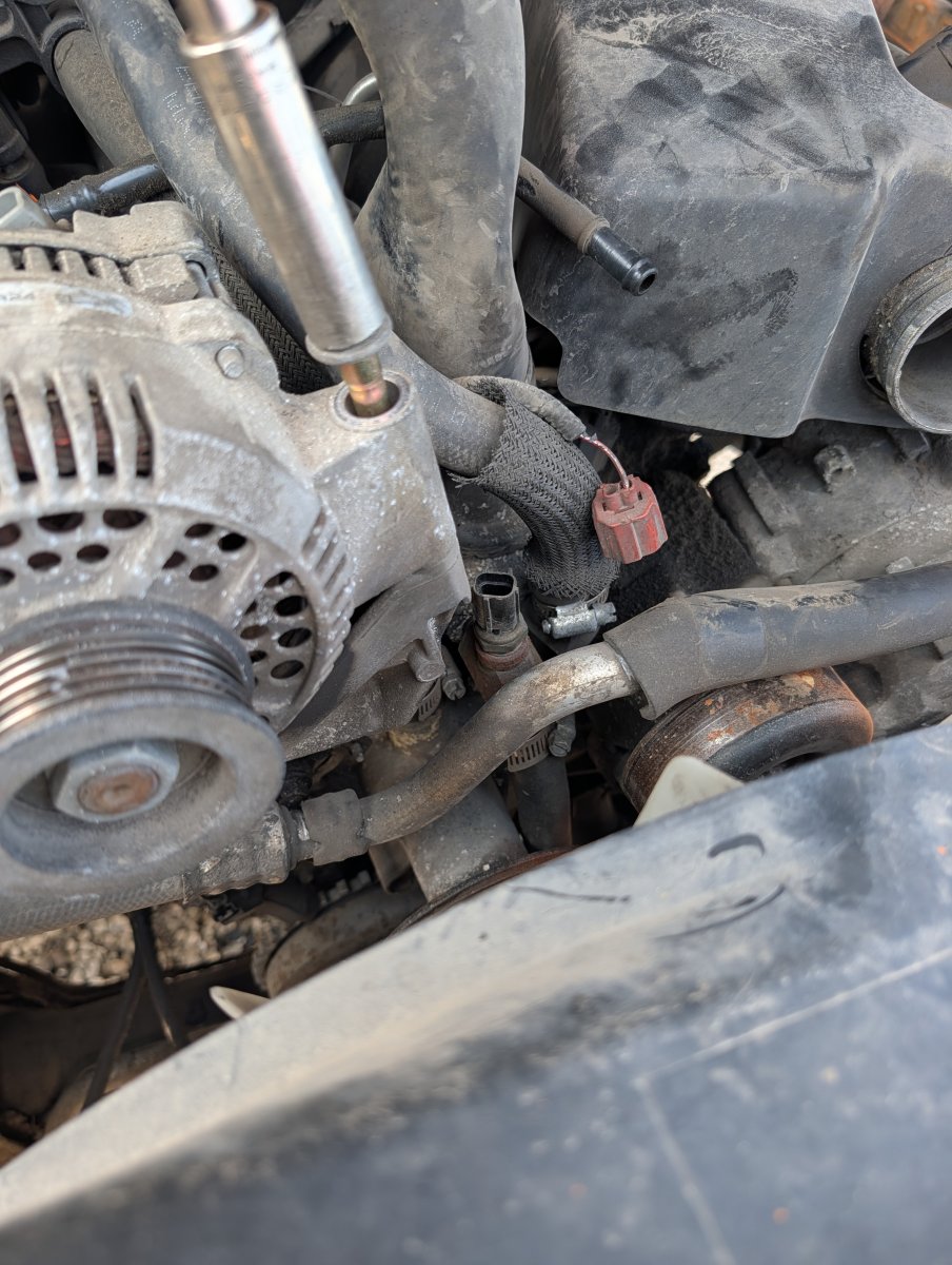 PlumCrazy's V8 Daily Driver Build