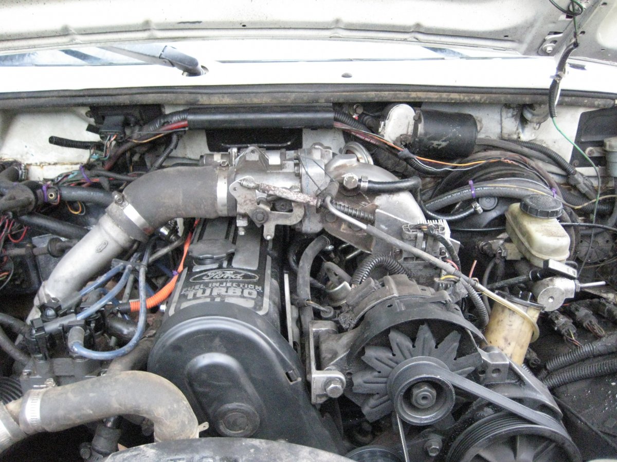 Ranger 013.jpg