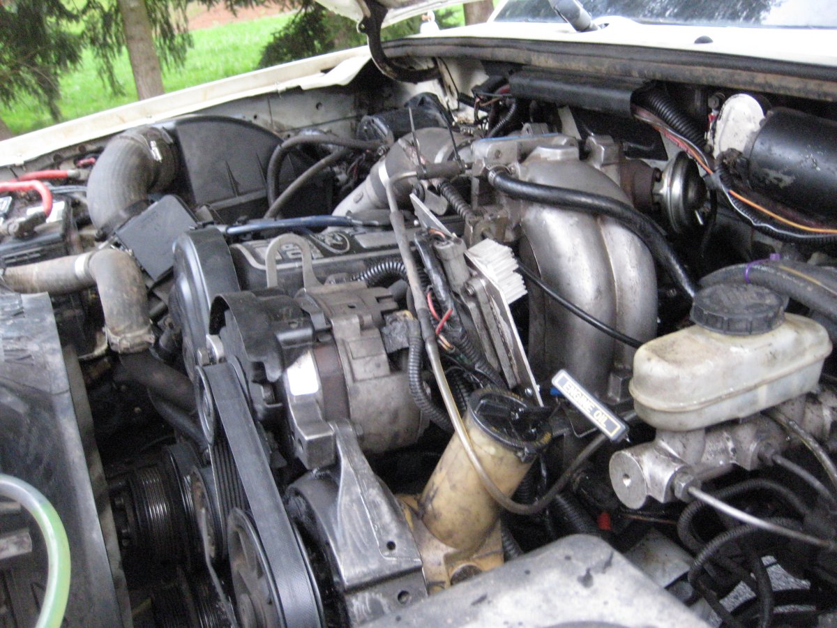 Ranger 016.jpg