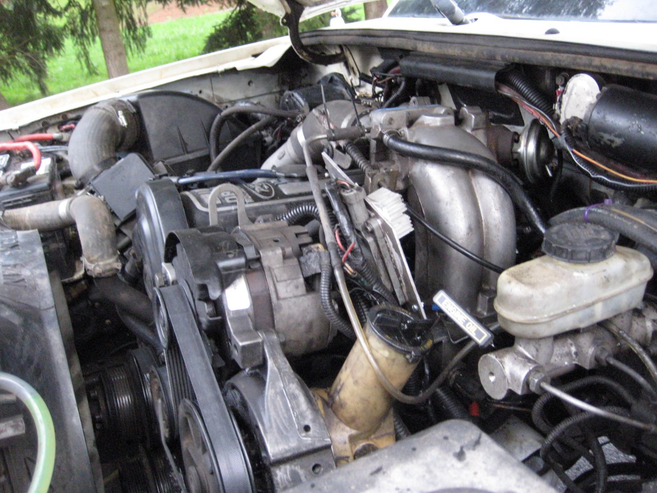 Ranger 016.jpg