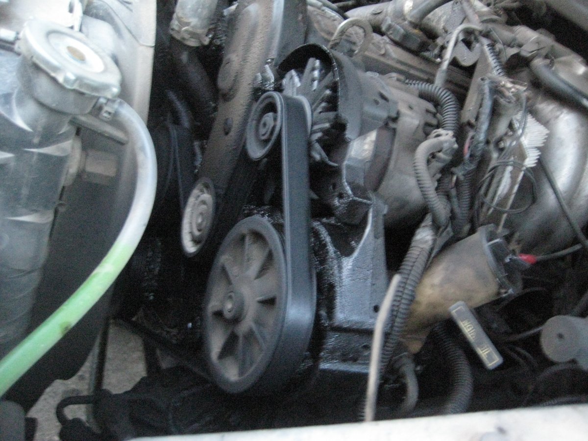 Ranger 027.jpg