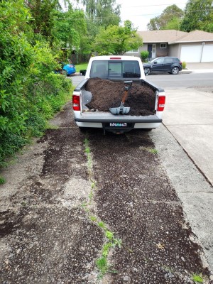 Ranger first load1.jpg