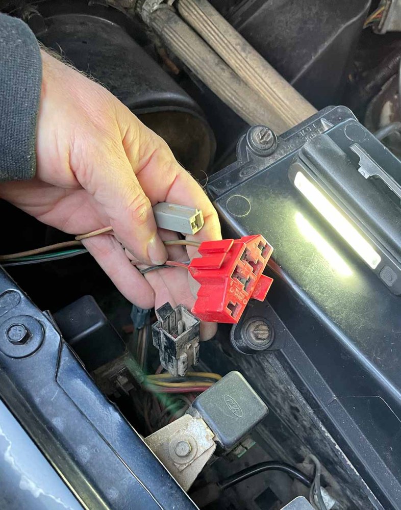 ranger-loose-plugs.jpg