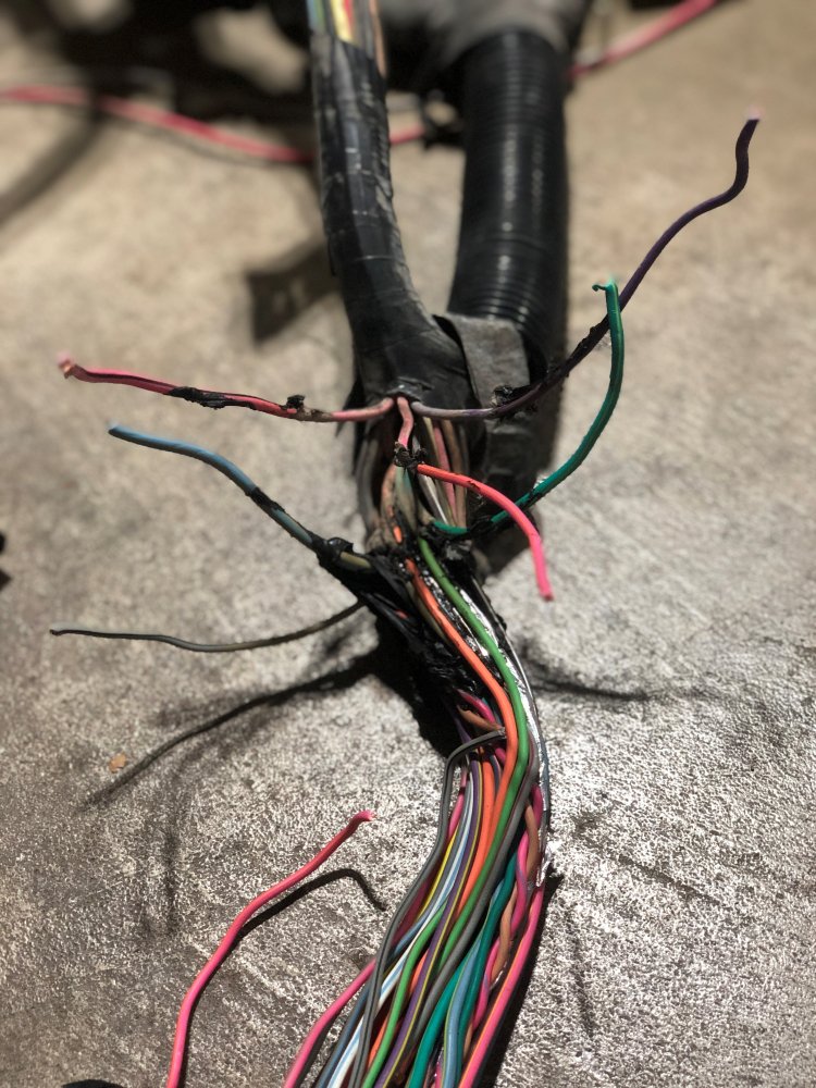 Ranger Near computer wires.jpg