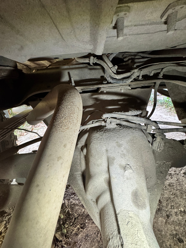 rearDIFF-03.jpg
