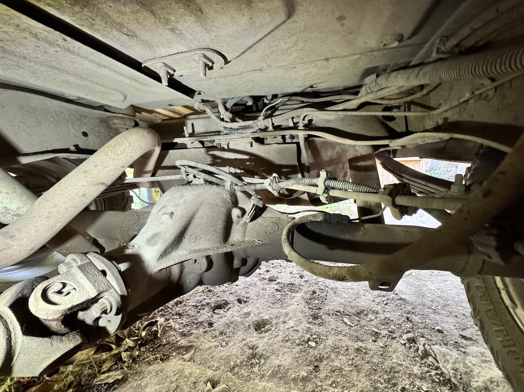 rearDIFF-04.jpg