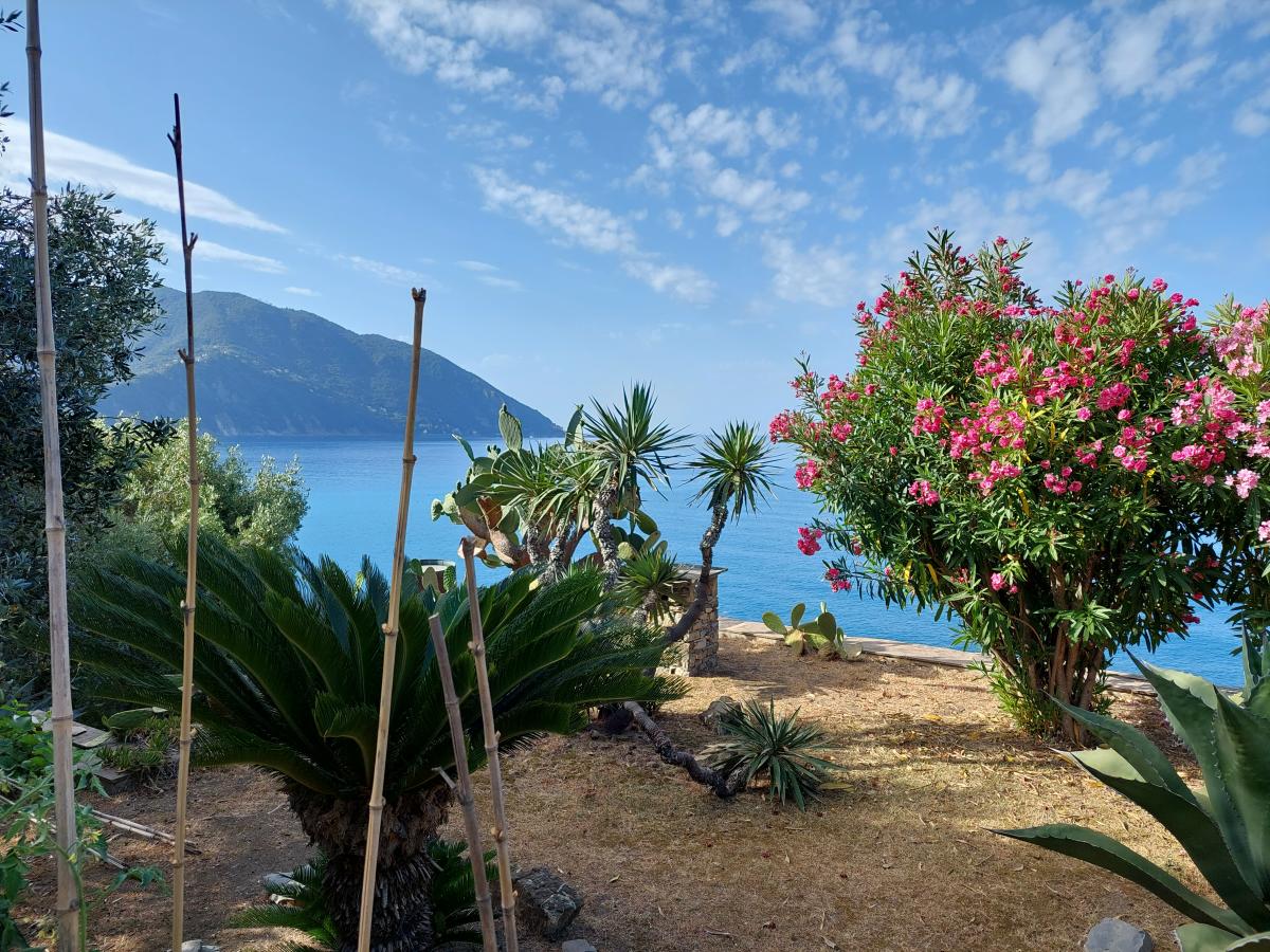 recco_italy_apartment_150.JPG