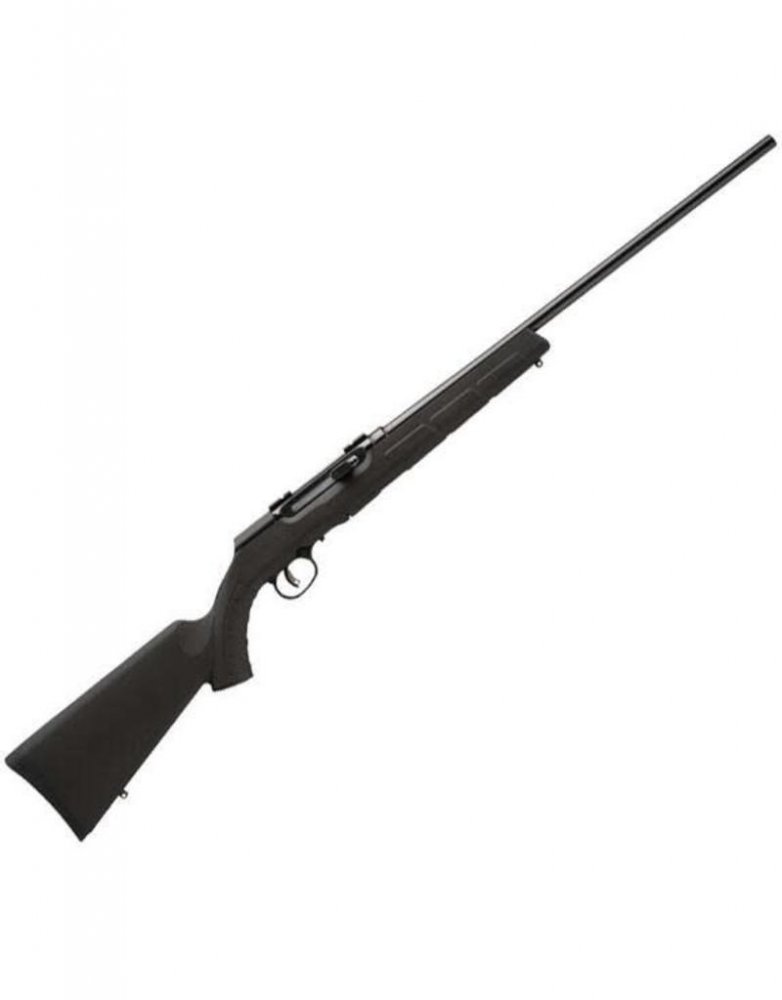 savage-arms-savage-a22-semi-auto-22lr-blk-syn-stoc.jpg