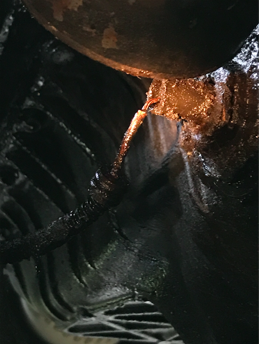 29546