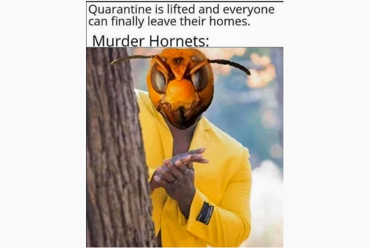 41573