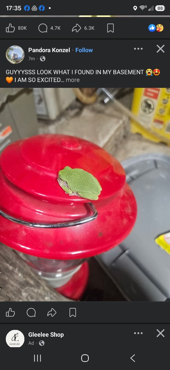 Coleman Liquid Fuel