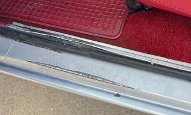 scuff plate.JPG