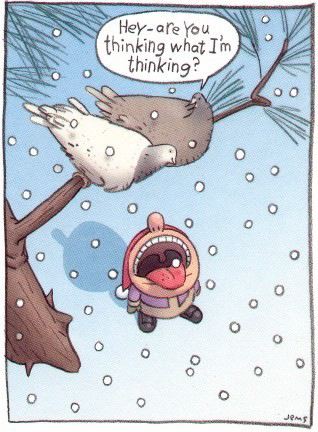 snow_flake.jpg