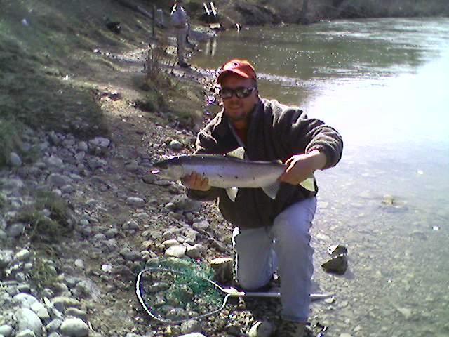 spring_steel_3_21_10.jpg