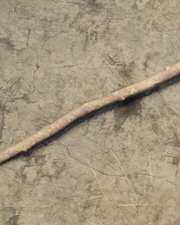 Stick.jpg