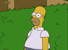 tenor (6).gif