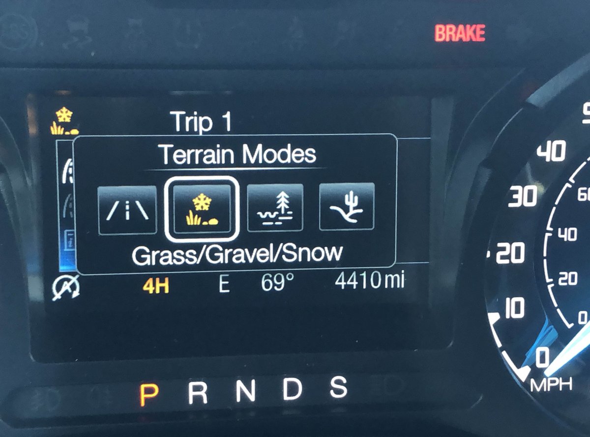 69116