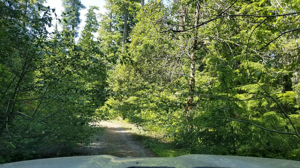 trans_america_trail_2019_ford_ranger_day-14-10.JPG