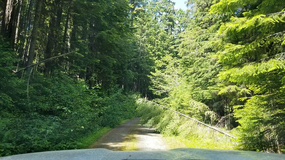trans_america_trail_2019_ford_ranger_day-14-8.JPG
