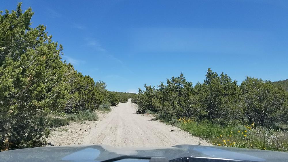 trans_america_trail_2019_ford_ranger_day-9-1.JPG