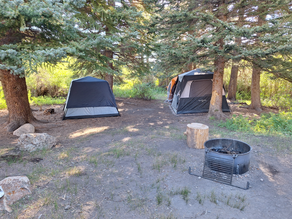 vagabonds_colorado_trip_2025_cebolla_creek_road_campground-110.PNG