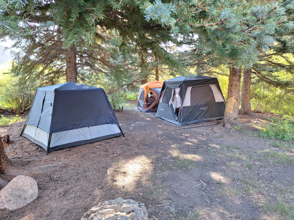 vagabonds_colorado_trip_2025_cebolla_creek_road_campground.PNG
