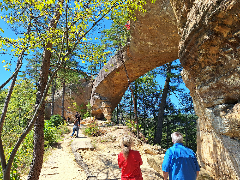 vagabonds_kentucky_adventure_trail_290.PNG